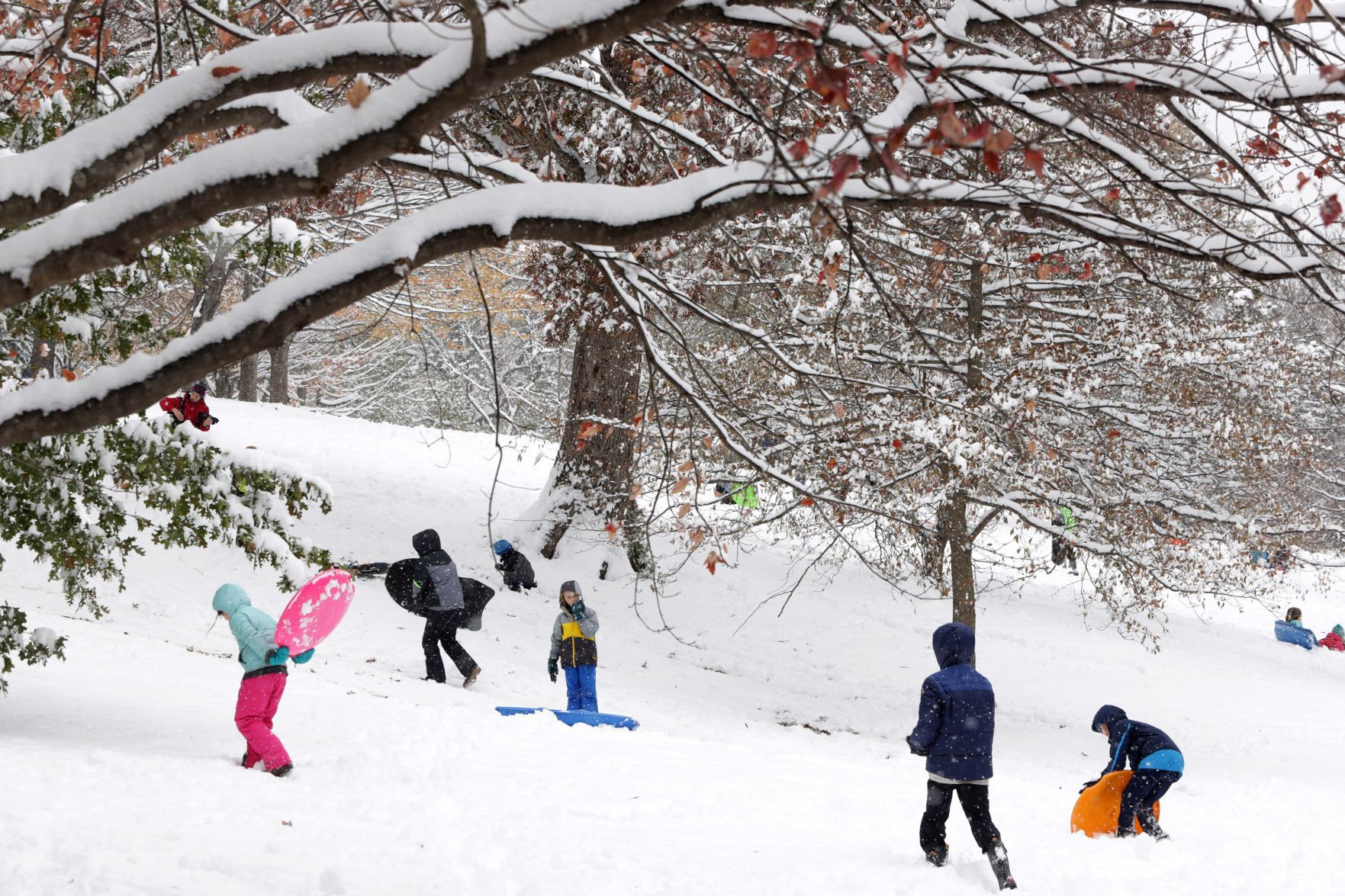 Snow Day